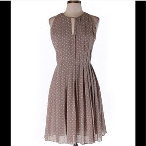 J Crew Polka Dot Dress